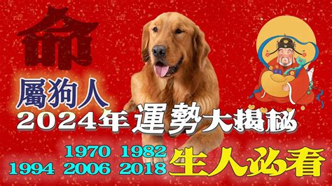 1982生肖狗|生肖狗: 性格，愛情，2024運勢，生肖1994，2006，2018